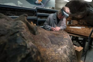 Mastodon Restoration