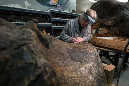 Dan Pickering working on mastodon restoration