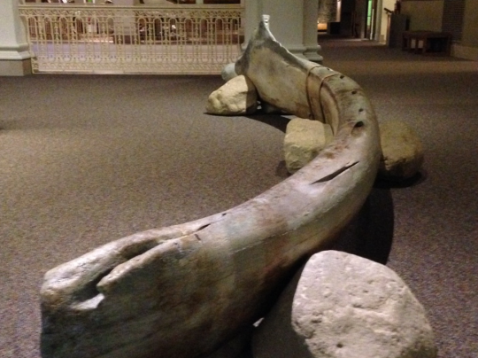 Whale Bone Bench