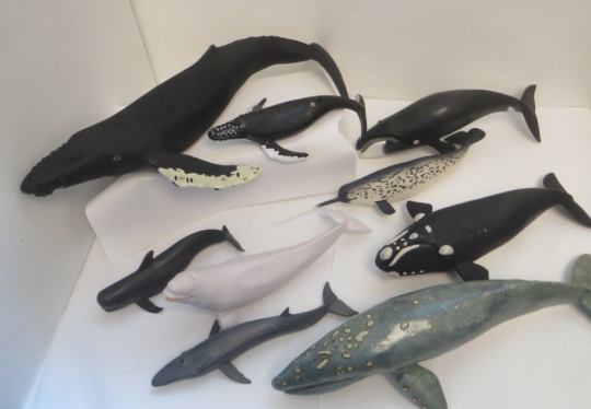 plastic whale models
