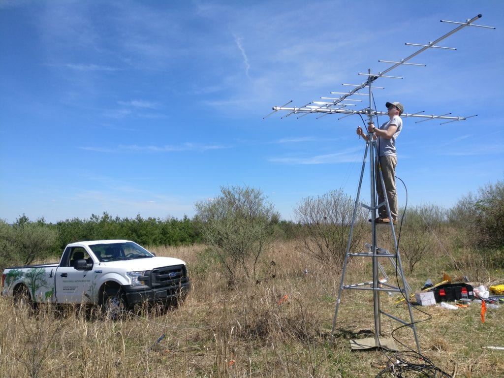 Luke DeGroote in the field at a MOTUS station.