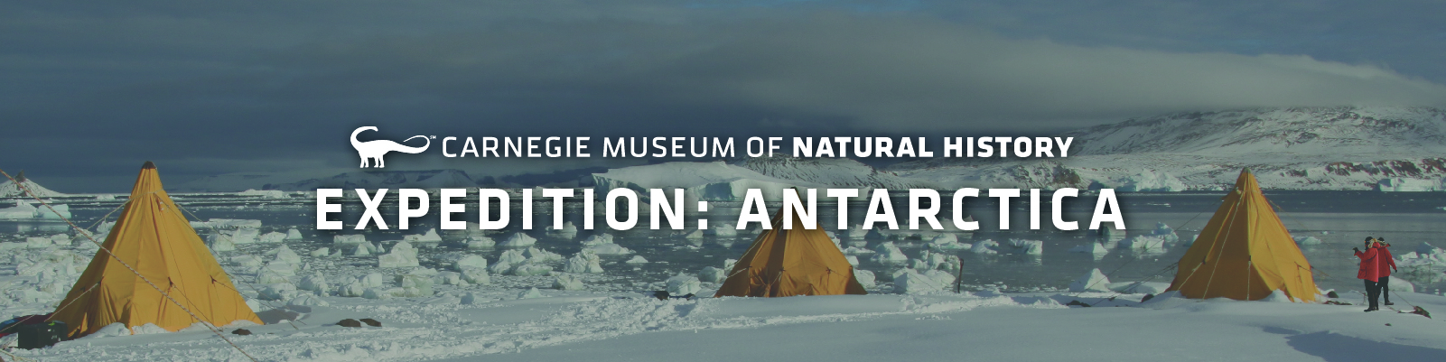 Expedition: Antarctica