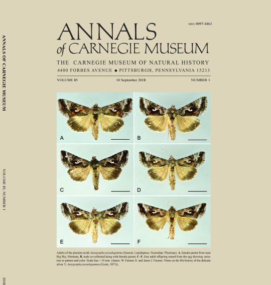 cover of Annals of the Carnegie Museum