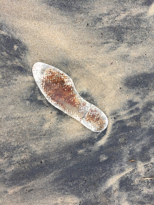 shoe insole on the beach