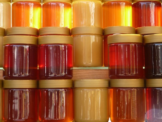 a rainbow of honeys in jars