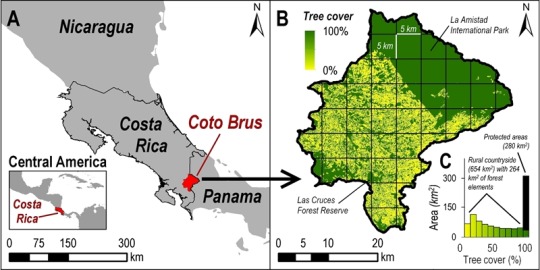 map and diagram of trees in part of Costa Rica