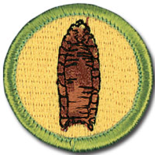 archaeology merit badge