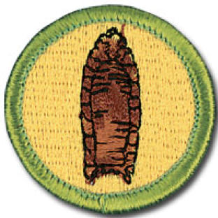 Archaeology Merit Badge: Who Had More Fun, Me or the Boy Scouts?