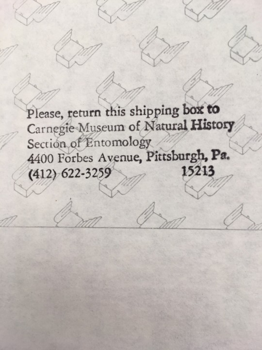 Text on a box that says: Please return this shipping box to Carnegie Museum of Natural History, Section of Entomology, 4400 Forbes Avenue, Pittsburgh, Pa. 15213, (412) 622-3259