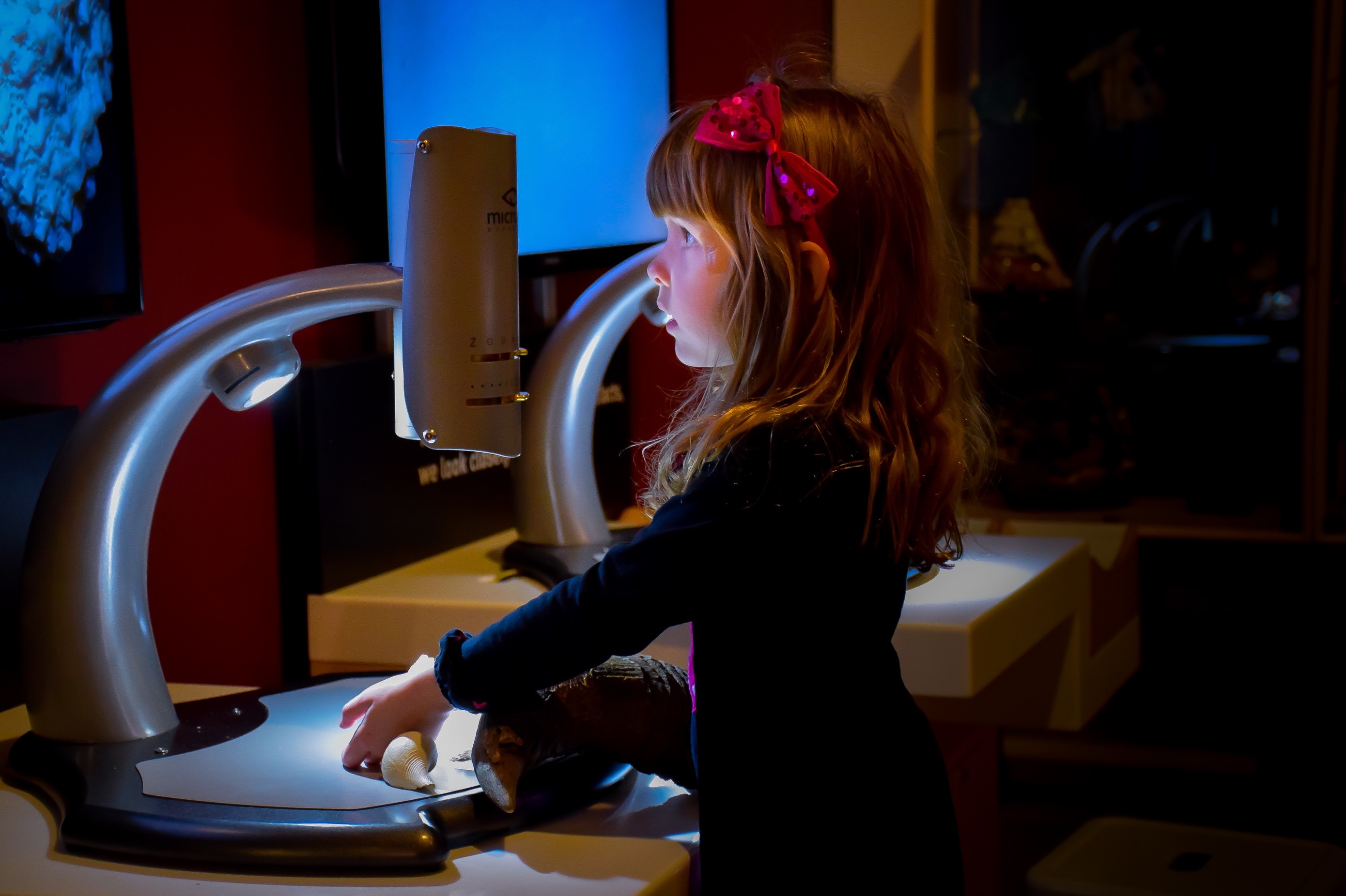 girl aged 3 looking at digital microscope screen