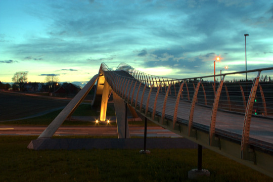 The Vebjørn Sand Da Vinci Project bridge