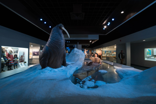 Polar World exhibition with animals and man in boat