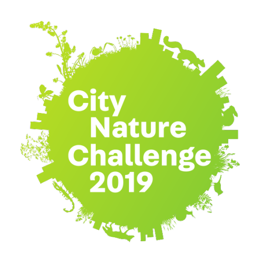 City Nature Challenge 2019 logo
