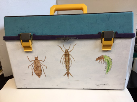 toolbox with macroinvertebrates painted on it