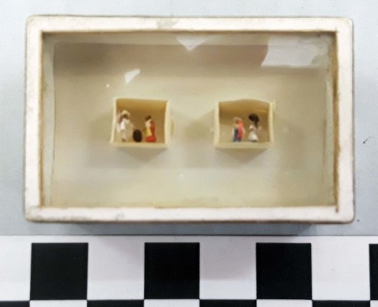 One set of dressed fleas from the Carnegie Museum of Natural History collection. Each block underneath this box represents just one centimeter! 