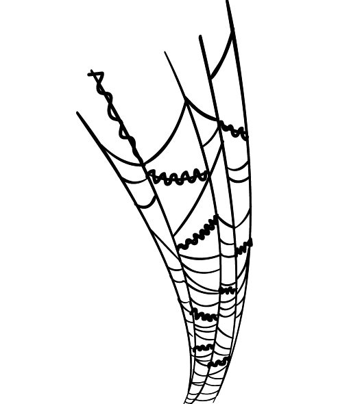 drawing of woolly web