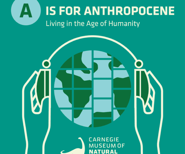 A is for Anthropocene