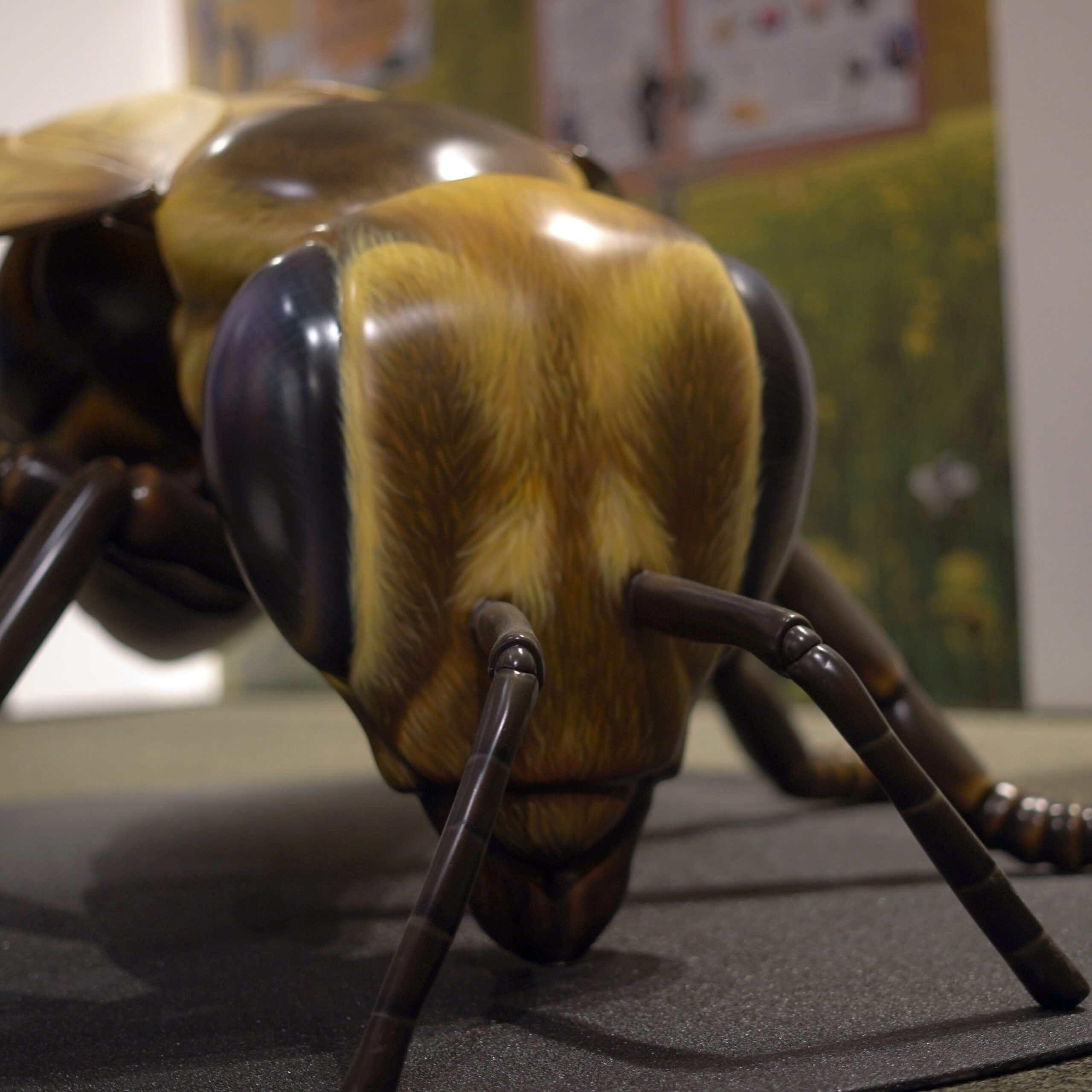 climbable bee model