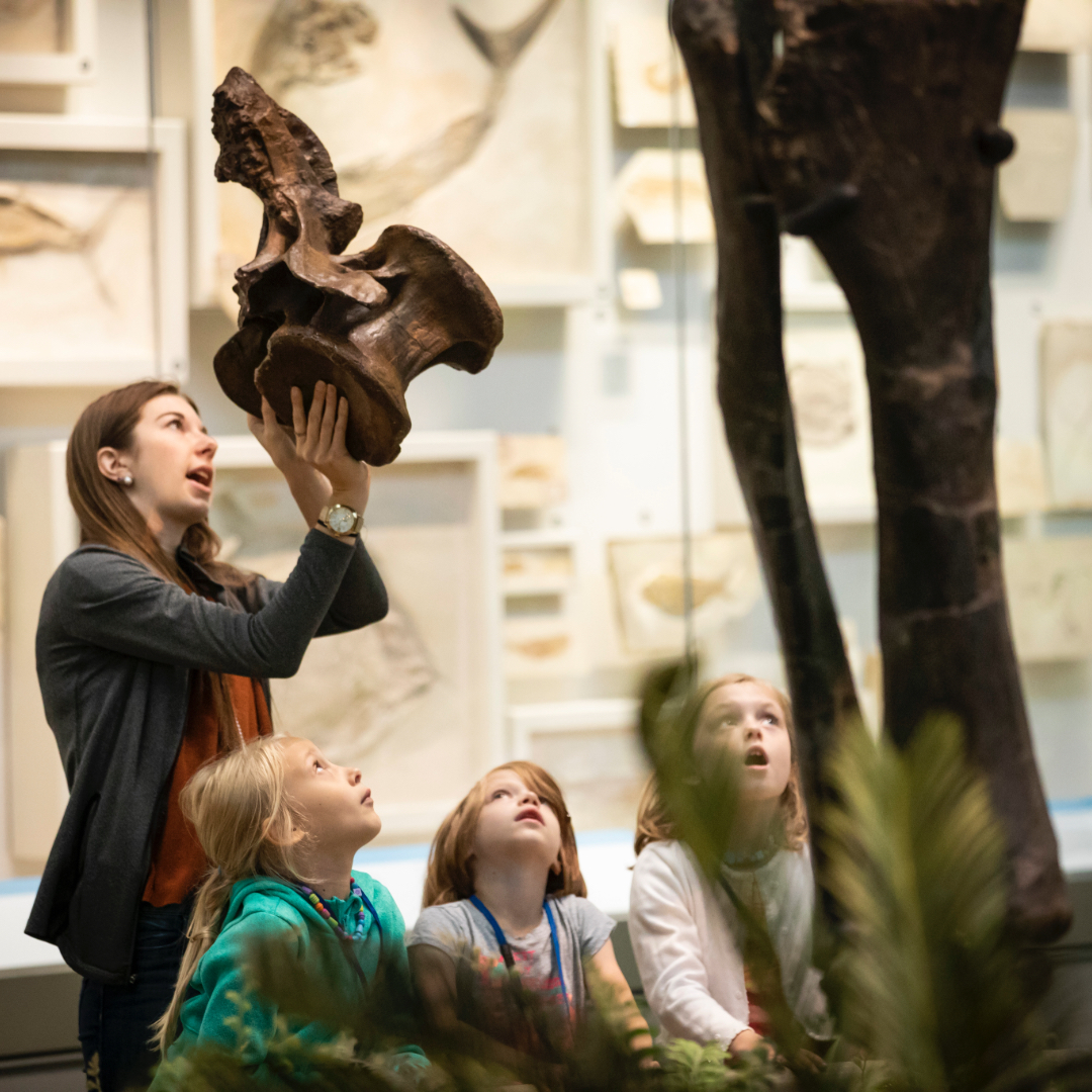 summer camp in dinosaur hall