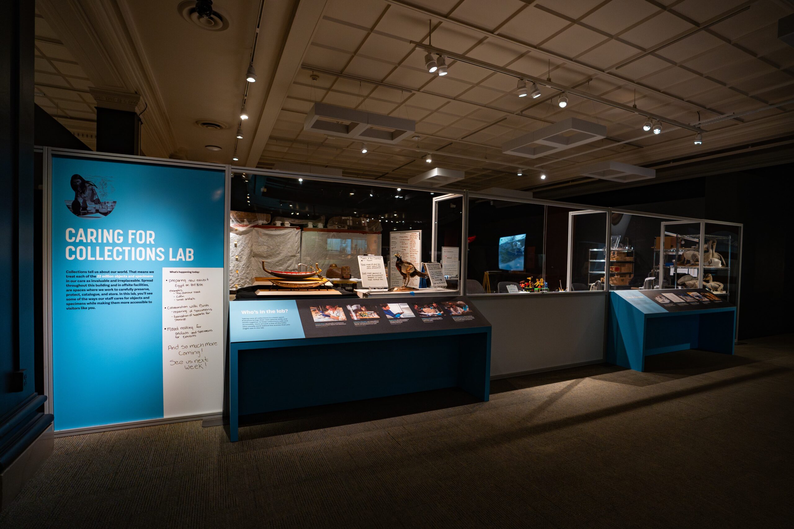 visible collections lab