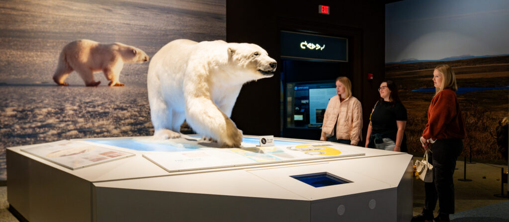group of people looking at a polar bear taxidermy mount