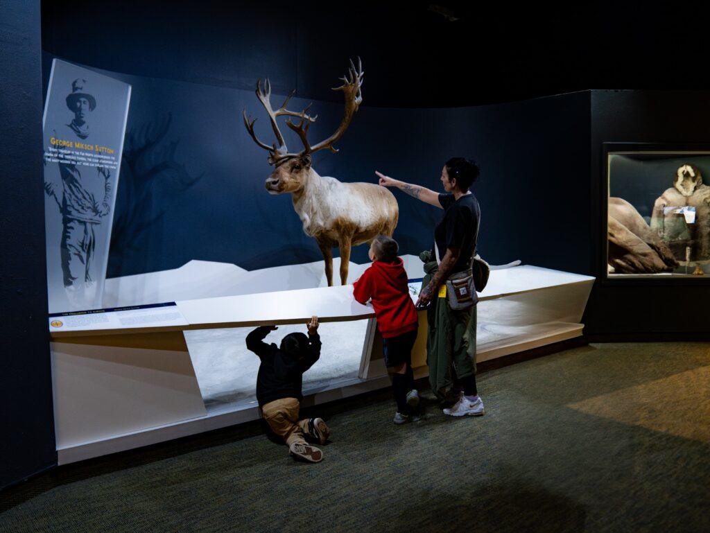 group of people looking at a reindeer