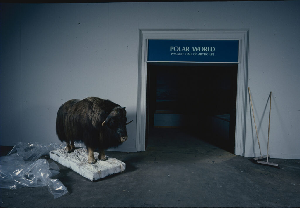 Polar World entrance under contruction