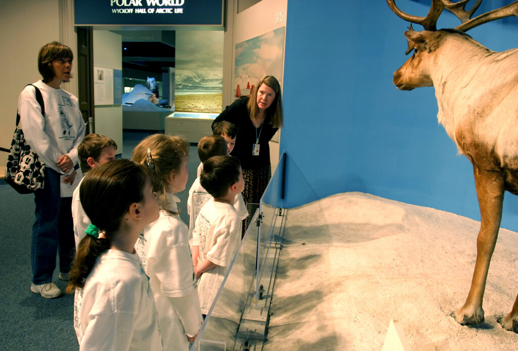 field trip in Polar World