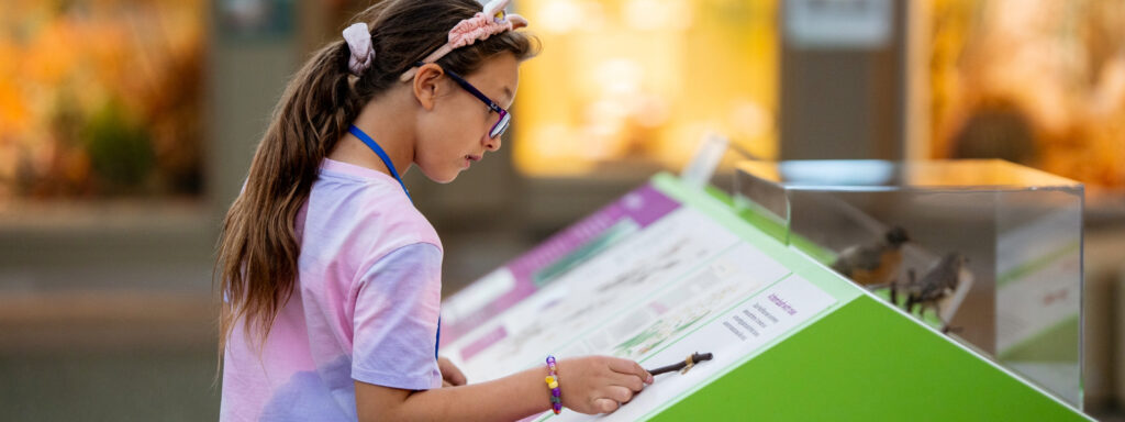 learner looking at a botany exhibit
