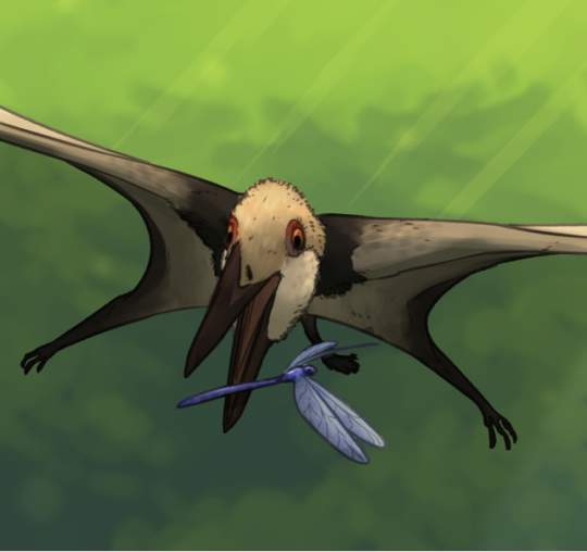 10 Interesting Pterodactyl Facts