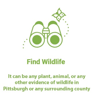 Find Wildlife