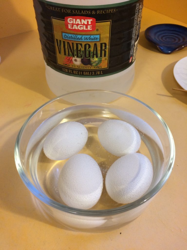 eggs in vinegar