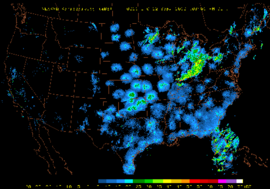 Wind and Migration