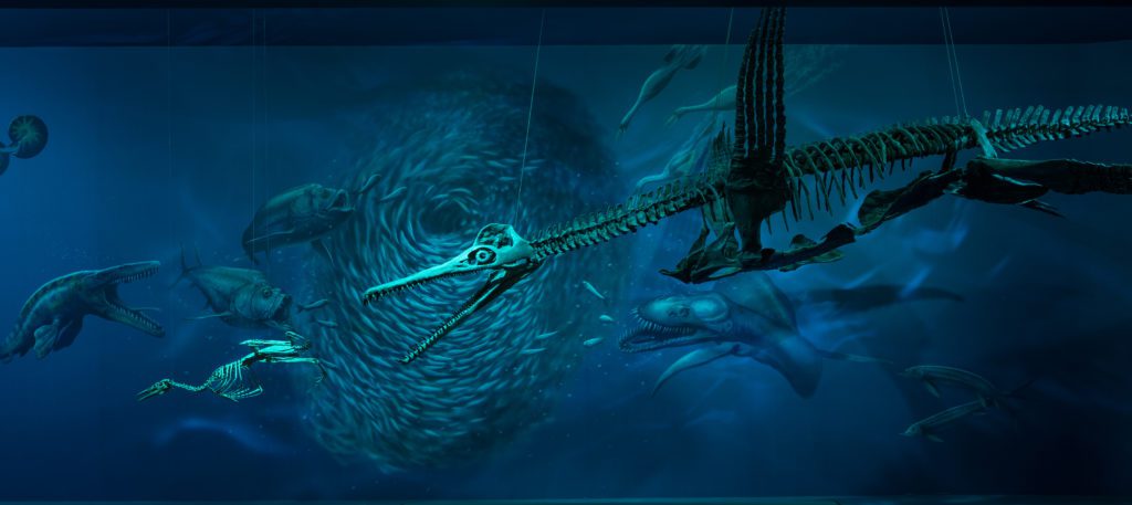 Cretaceous Seaway video background