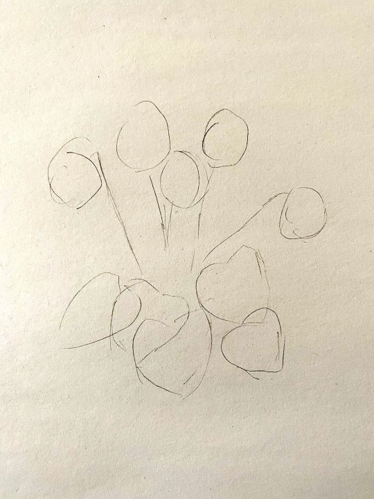 circles and lines drawn in pencil to show the basic shapes to begin drawing flowers