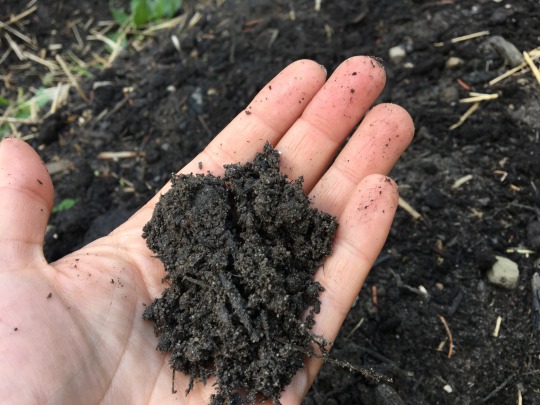 close up photo of hand full of soil