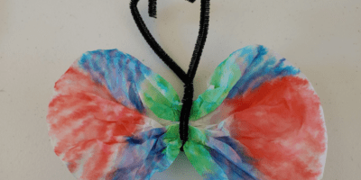 Butterfly Chromatography finished craft