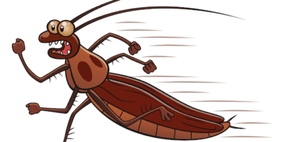 Running cartoon cockroach