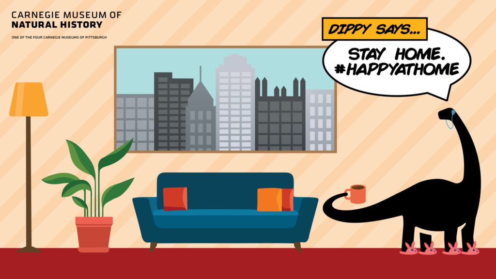 Dippy Says Stay at Home Video Background