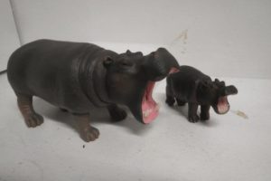 South American Hippo Habitat