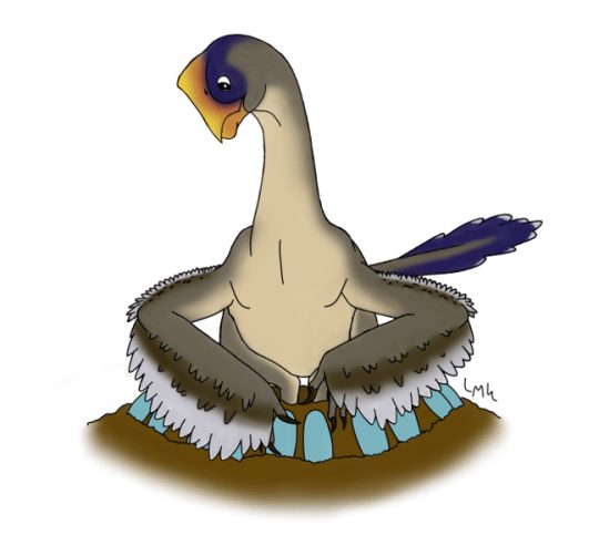 illustration of Citipati, a dinosaur that looks similar to a bird, on a nest of blue eggs