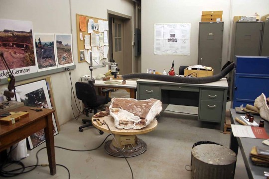 photo of fossil preparation lab