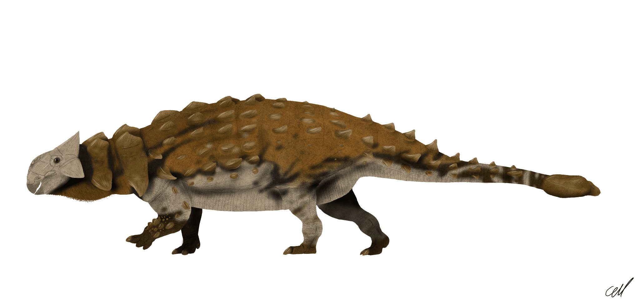 Ankylosaurus