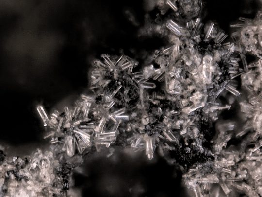 tiny hydroxylpyromorphite crystals 