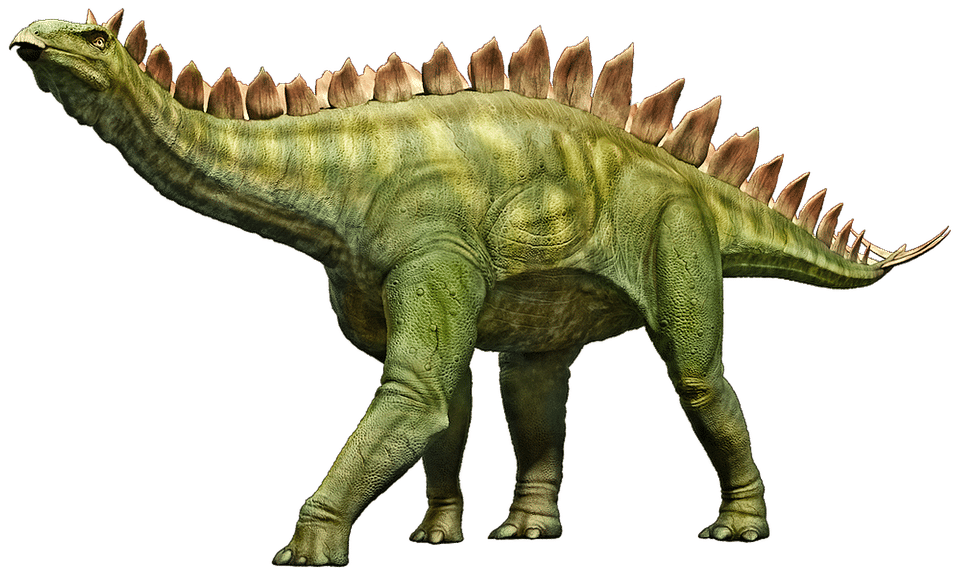 dinosaur similar to stegosaurus