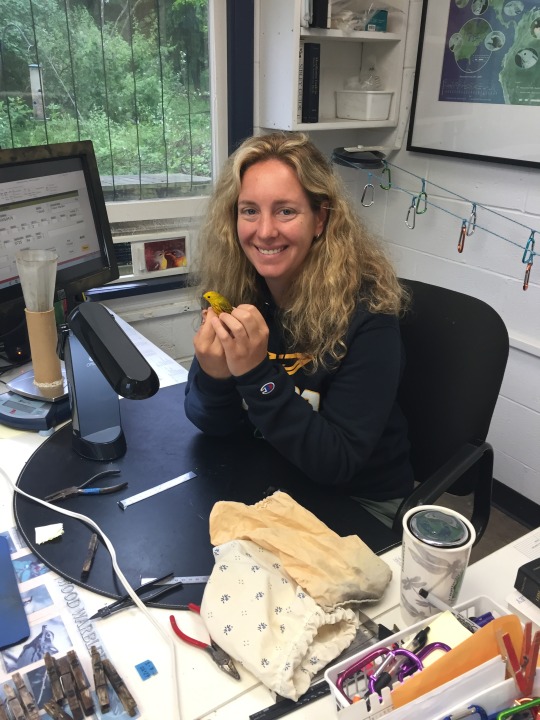 woman in an office holding a bird
