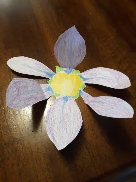photo of paper flower