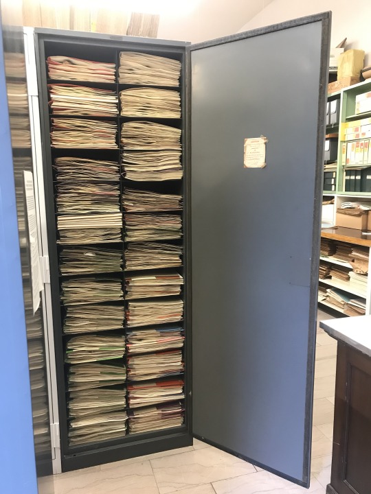 open cabinet full of stacked plant specimens