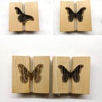 How to Prepare Insect Specimens