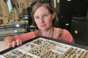Meet Ainsley Seago, New Associate Curator of Invertebrate Zoology